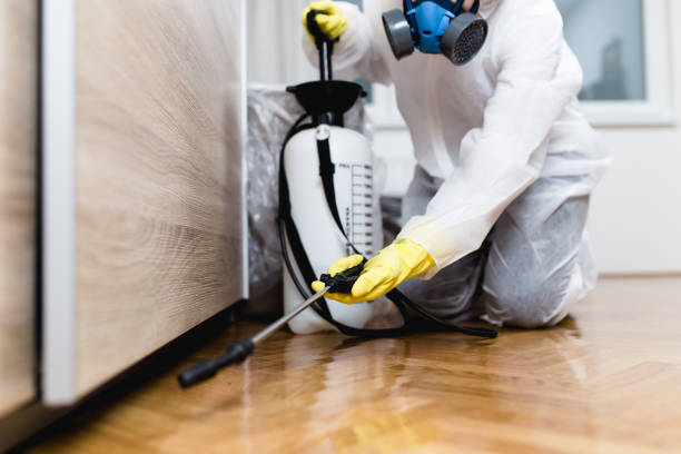 Best Termite Control Services  in Jessup, MD