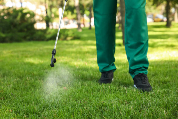 Best Insect Control  in Jessup, MD