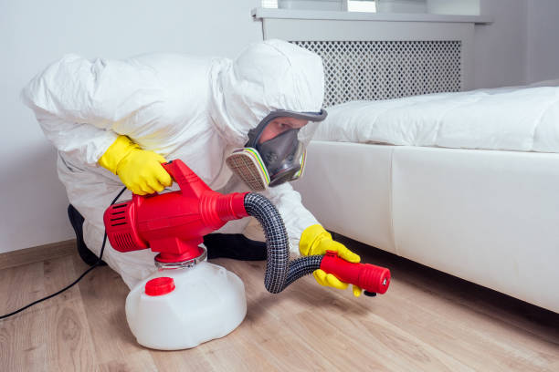 Reliable Jessup, MD Pest Control Solutions
