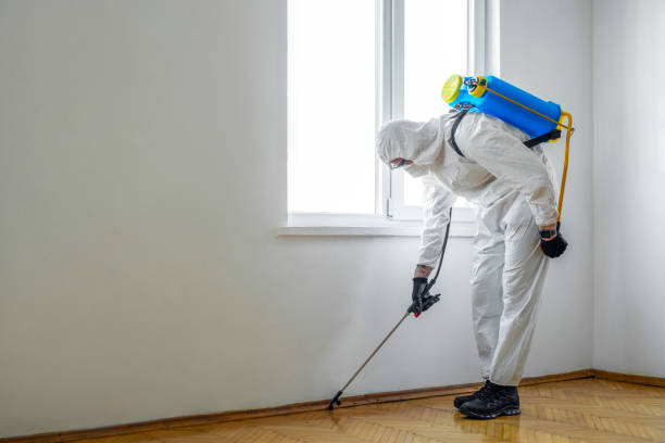 Best Affordable Pest Control Services  in Jessup, MD