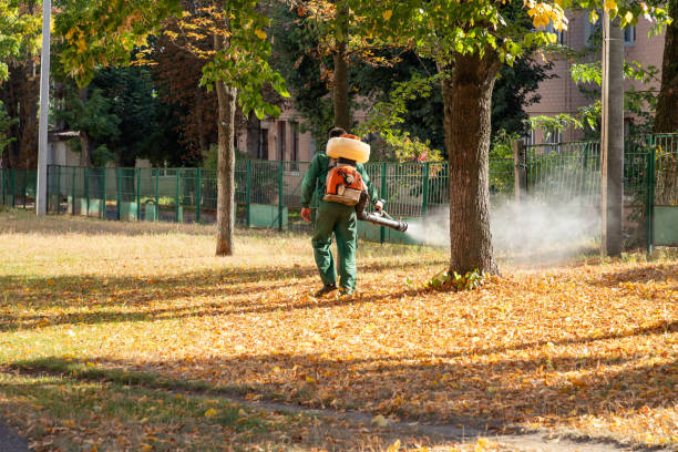 Best Insect Control  in Jessup, MD
