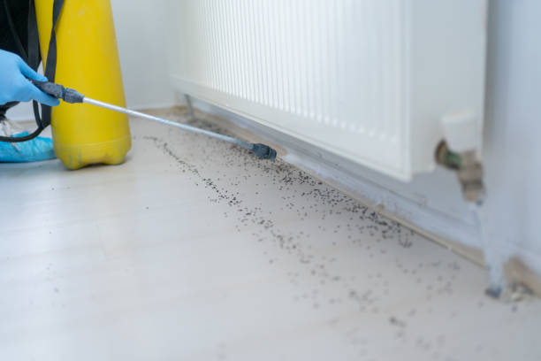 Best Cockroach Control Services  in Jessup, MD