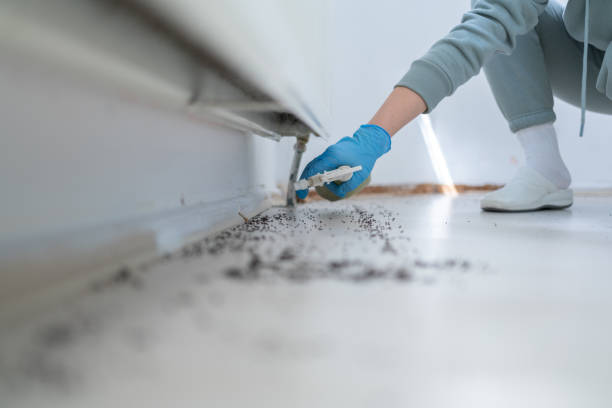 Best Pest Control Near Me  in Jessup, MD
