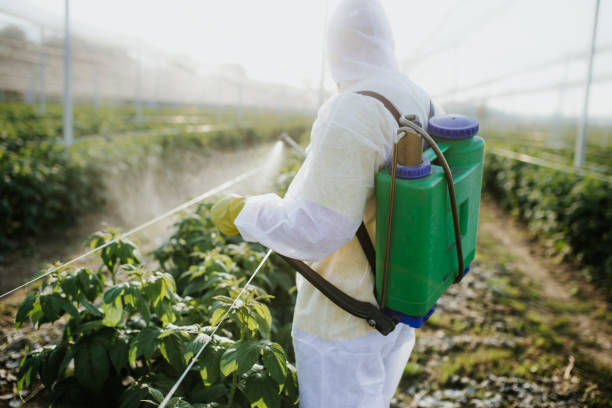 Reliable Jessup, MD Pest Control Solutions